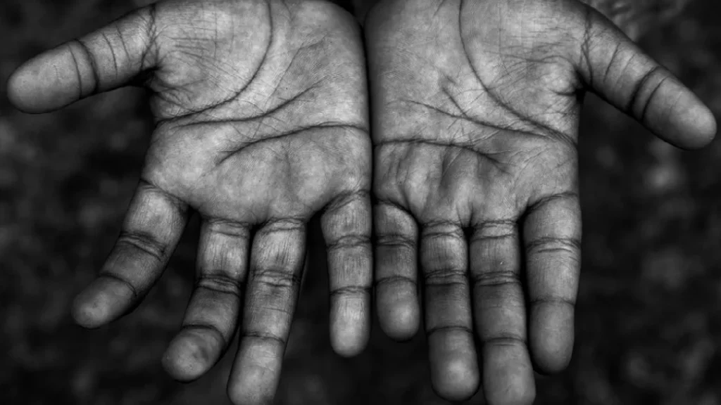 non-profit-ERP